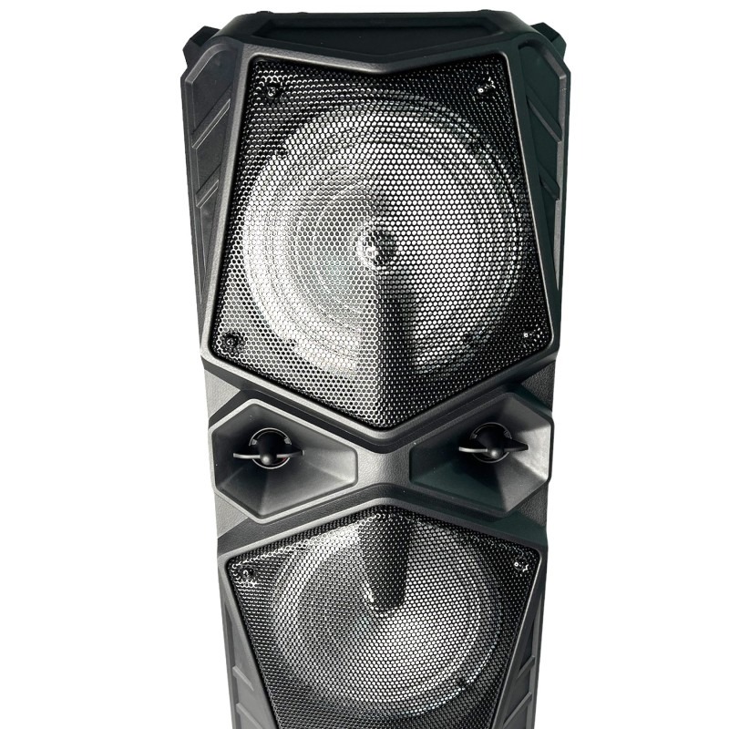 Колонка-валіза ZQS-6206W