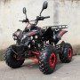 SN-U126  Дитячий бензиновий квадроцикл 110 куб.см з ланцюговим приводом