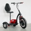 ES54-2  3-х колісний електросамокат 48V 500W
