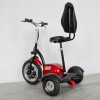 ES54-2  3-х колісний електросамокат 48V 500W