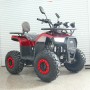 U110 Дорослий бензиновий квадроцикл 125кубів з ланцюговим приводом, 1+1 передача, спідометр