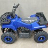 SN-A58 Дитячий квадроцикл ATV 49cc бензин