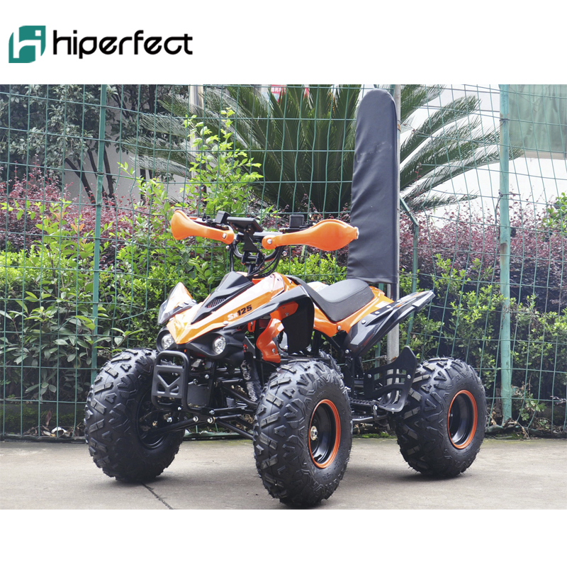 Електричний квадроцикл для дорослих SN-EA62 ATV 48V 1000W з карданним валом