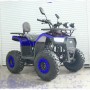 U110 Дорослий бензиновий квадроцикл 125кубів з ланцюговим приводом, 1+1 передача, спідометр